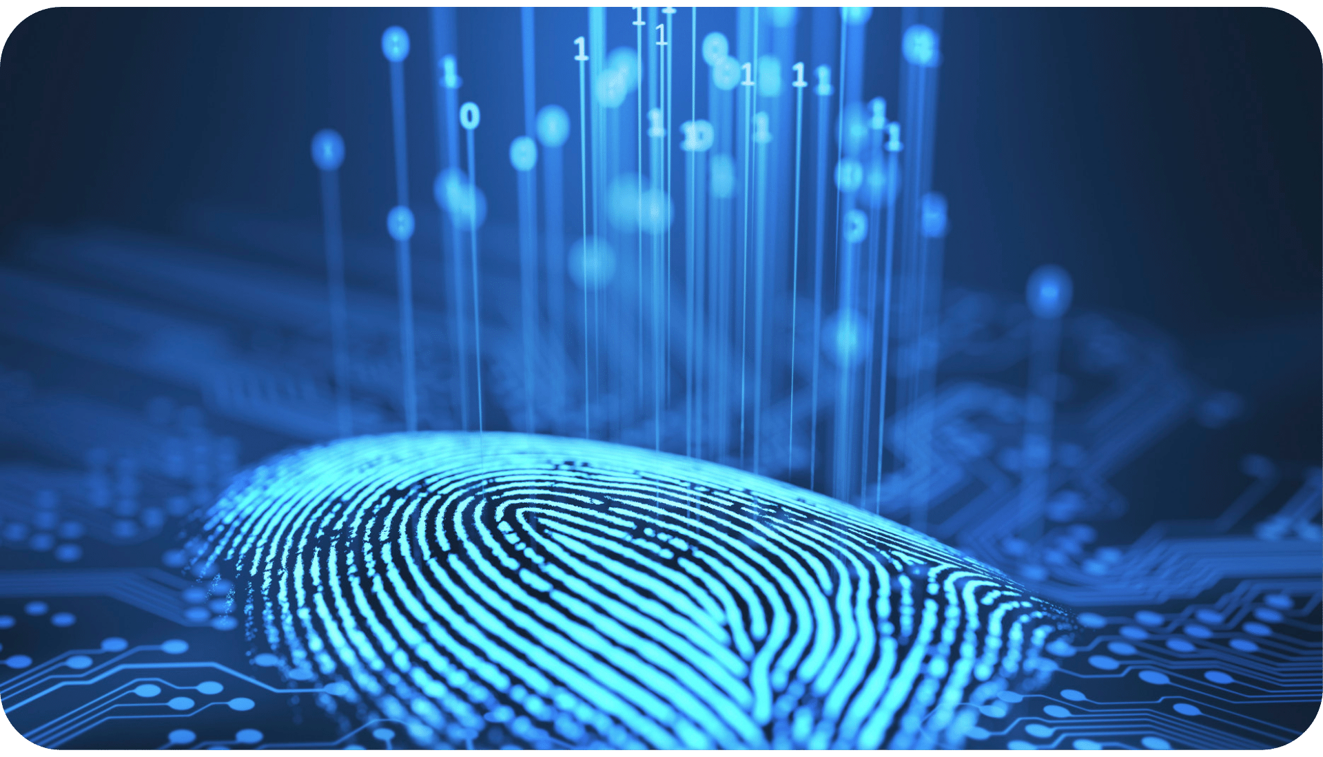 el sensor biométrico a la entrada de tu trabajo en el que debes colocar tu huella dactilar para registrarte